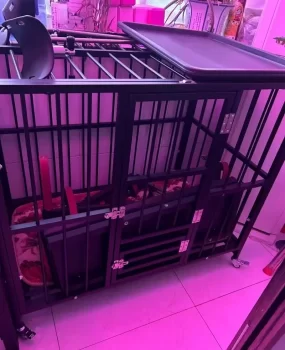 需要一个熟女阿姨