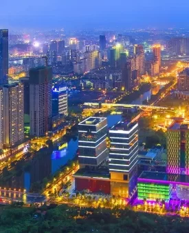 佛山顺德大良鸭子